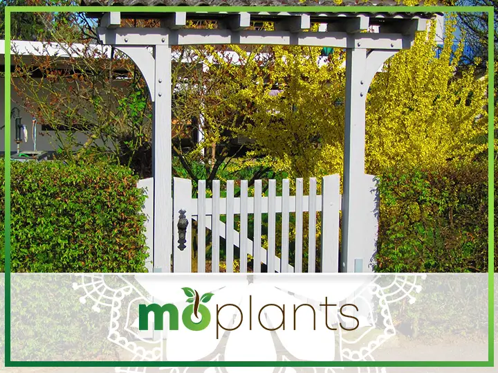 YardSmart: Garden Gate by Any Name is a Portal to Your Home