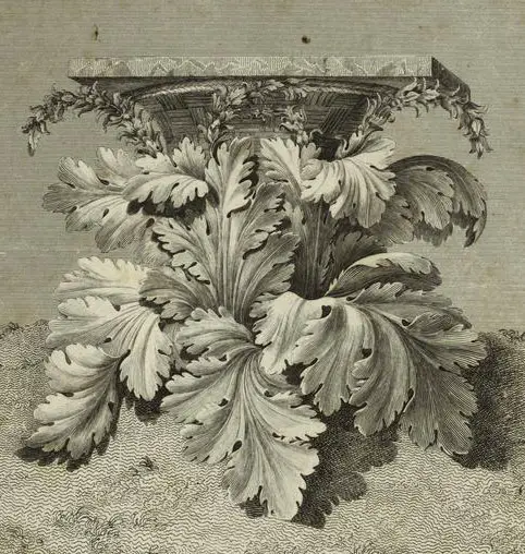 acanthus leaf architecture