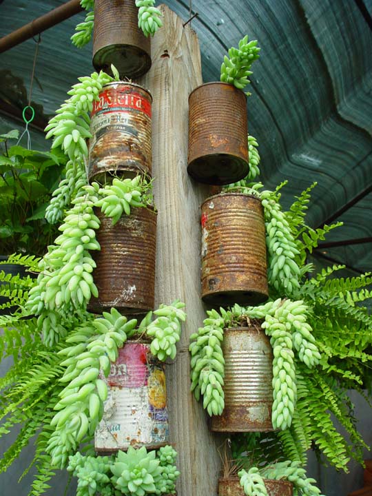 Tin Can Tower Recycles Garden Water