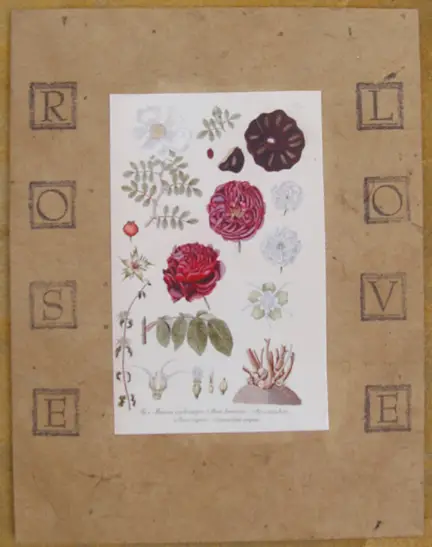 Rose Love Note Card