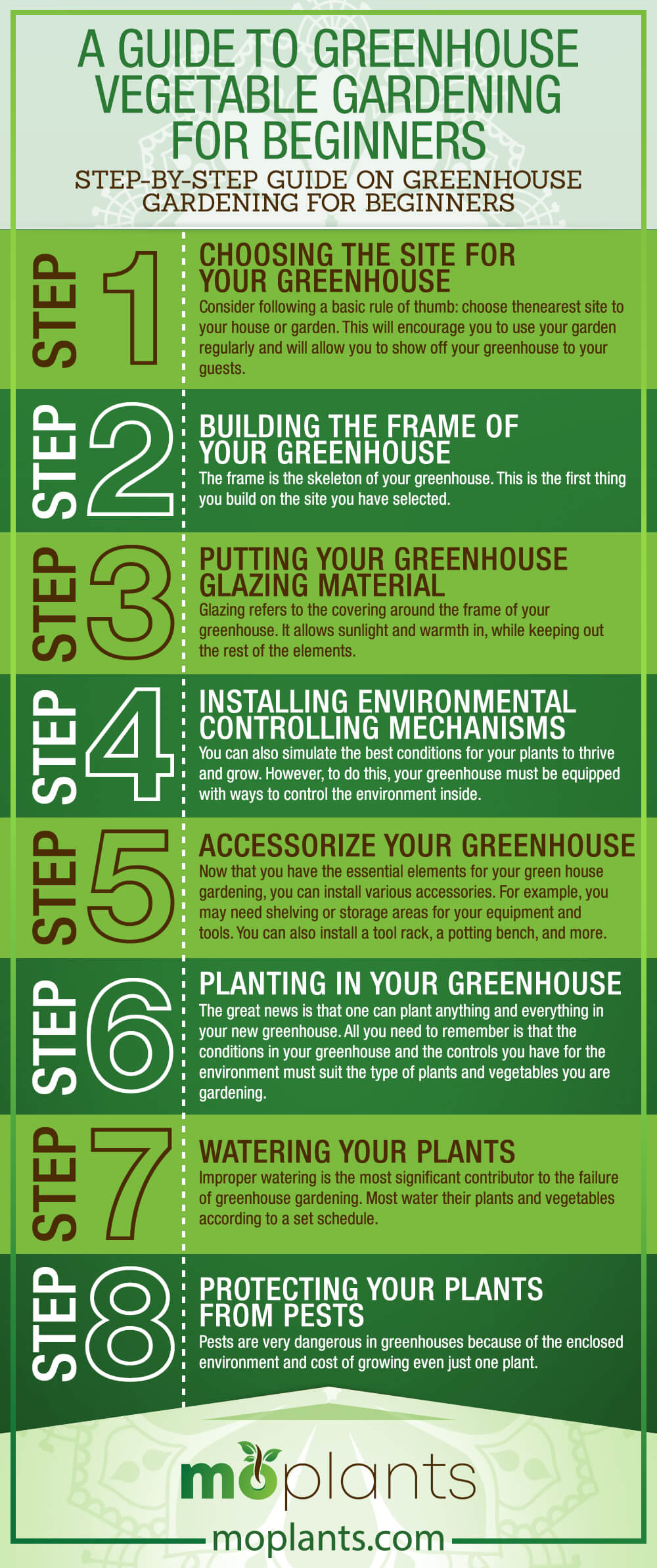 Greenhouse Vegetable Gardening for Beginners Infographic