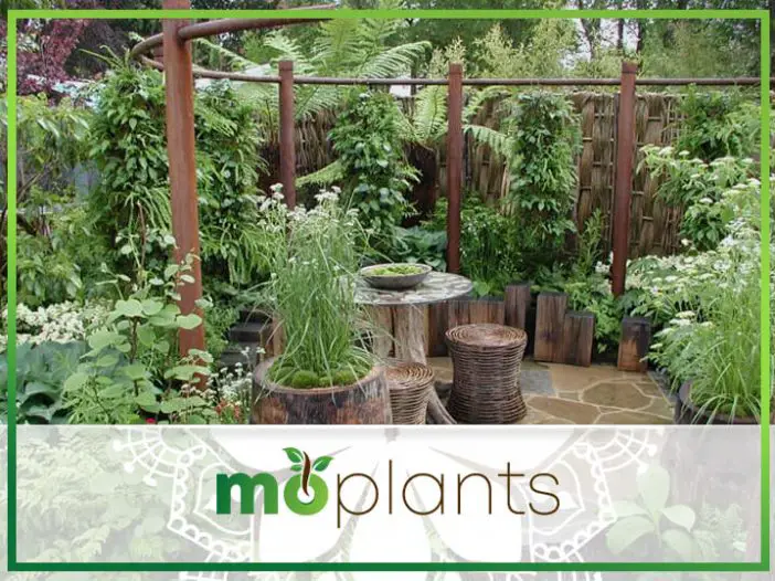 Featured image of post Backyard Garden Small Garden Ideas Nz - We love gardening and will be sharing articles that will help small garden ideas.