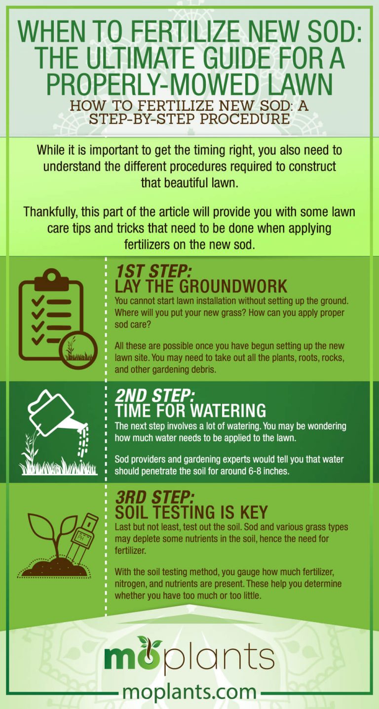 When to Fertilize New Sod: The Ultimate Guide for a Properly-Mowed Lawn ...