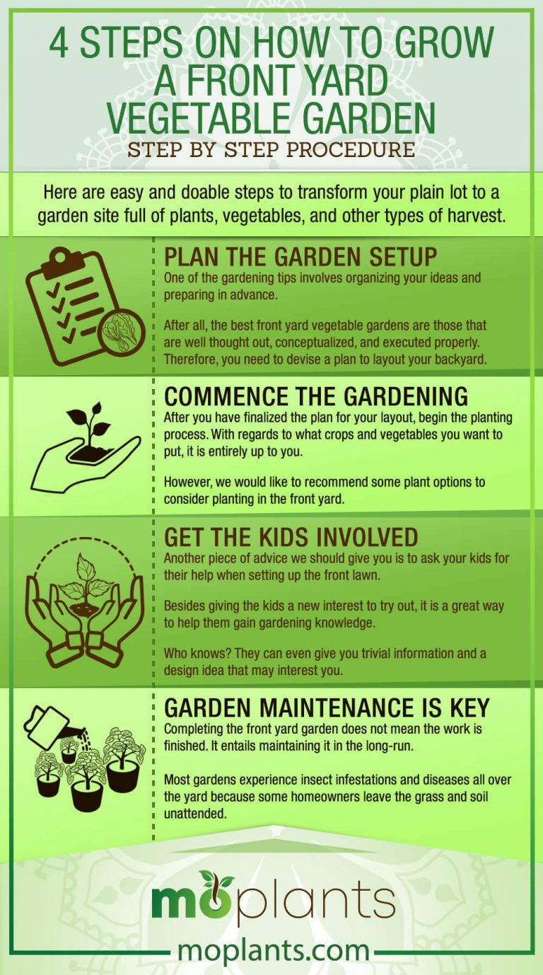 4 Steps on How to Grow a Front Yard Vegetable Garden - Mo Plants