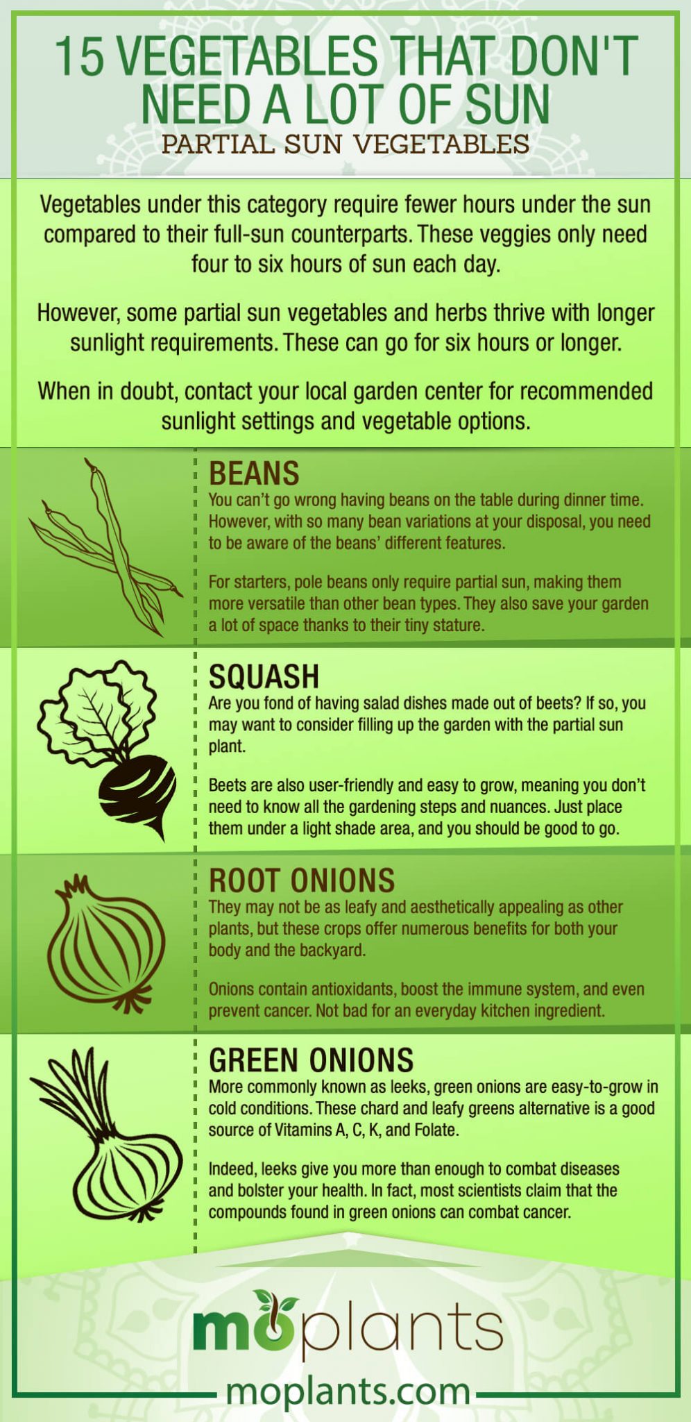 15-vegetables-that-don-t-need-a-lot-of-sun-mo-plants