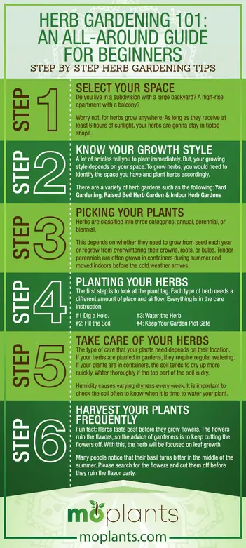 Herb Gardening 101 An All Around Guide, Herb Garden Tips Beginners